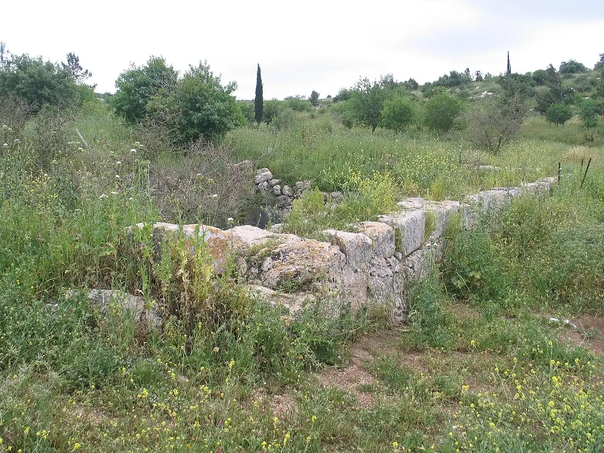 Wild grass and old stone terrace walls in Monks' Valley (Bik'at HaNezirim) near Modiin