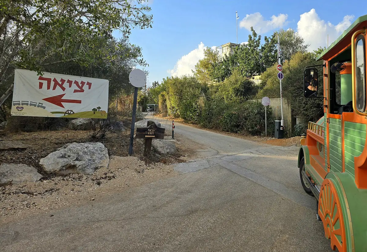 Landscape and planted trees at Neot Kedumim, the Biblical Landscape Reserve